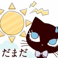 おはようございます☆