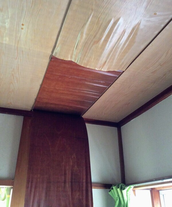 体調の関係でおやすみいただきまし