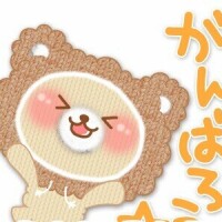 おはようございます☆