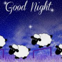 ありがとう&おやすみなさい