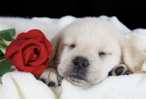 おやすみなさい💤