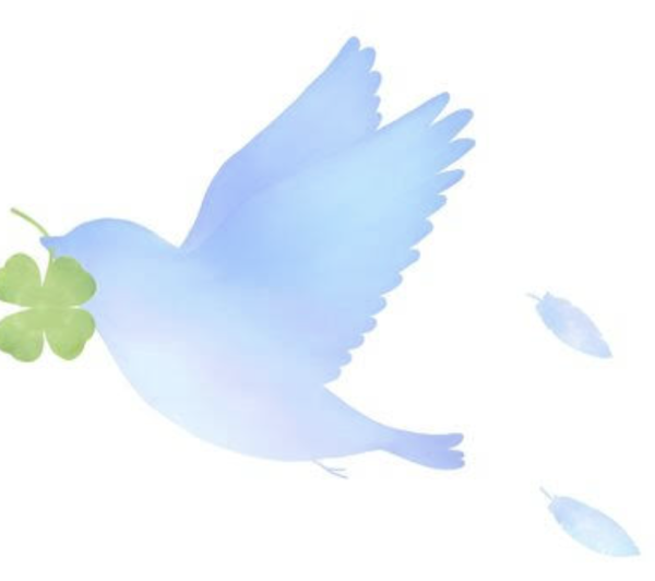 おやすみなさい🌌