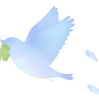 おやすみなさい🌌