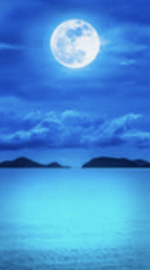 ありがとう✨おやすみなさい💤