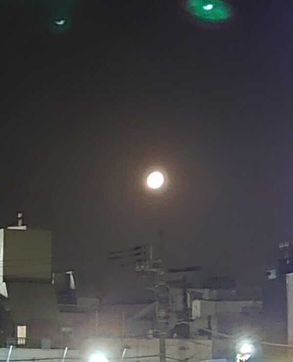 ありがとうございました❣️