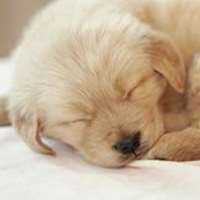 ありがとう✨おやすみなさい✨