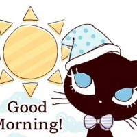 おはようございます☆