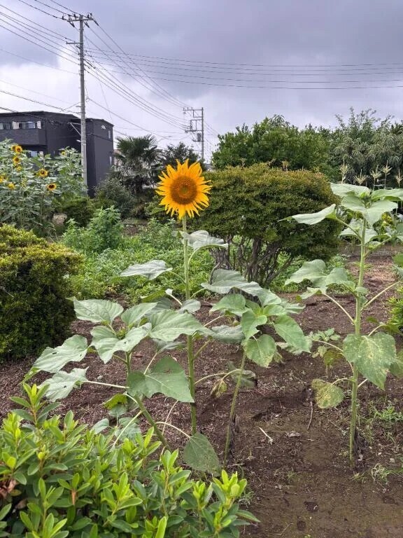 ありがとうございました！