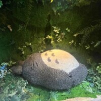 りん