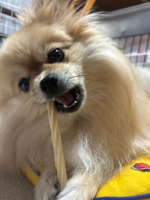 🩵あめの毎日を彩ってくれてありがとう🩵これからも彩ってね🩵大好き🩵