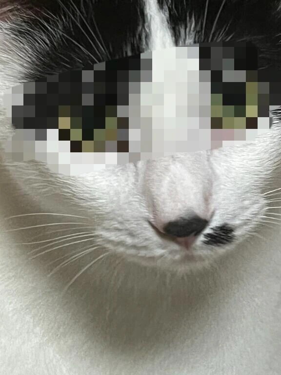退勤しました✨