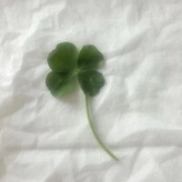 あき