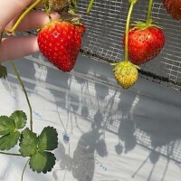 あき