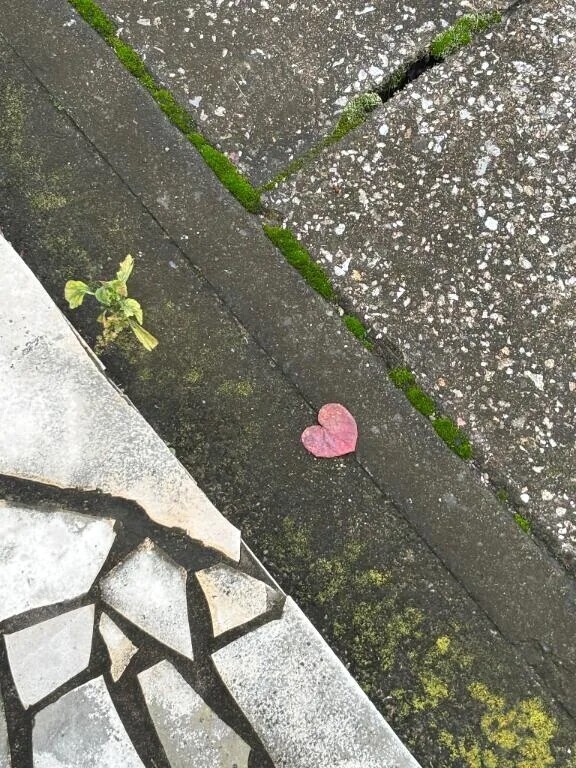 出勤しました！