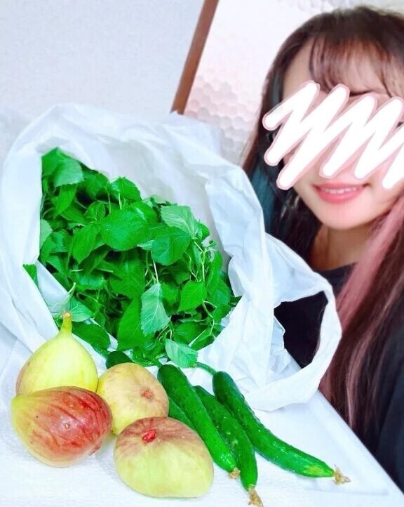 😊採れたて野菜🌱