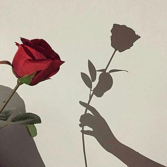 ご予約𓂃 🥀𓈒𓏸