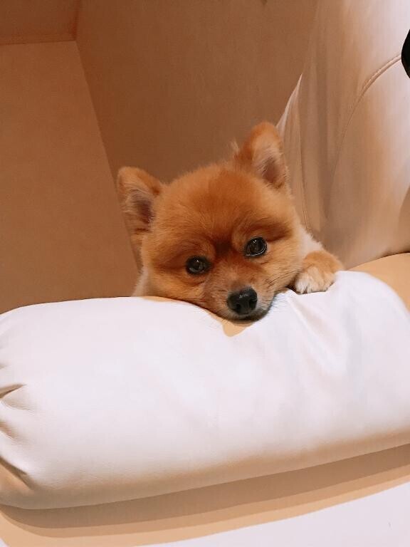 らすいち☝🏻‪‪