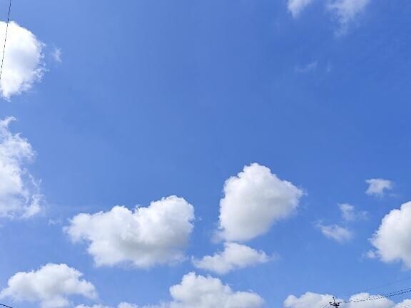 おはようございます☀︎