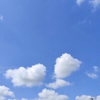 きら