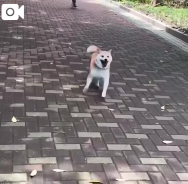 😁ご予約ありがとうございます🐕
