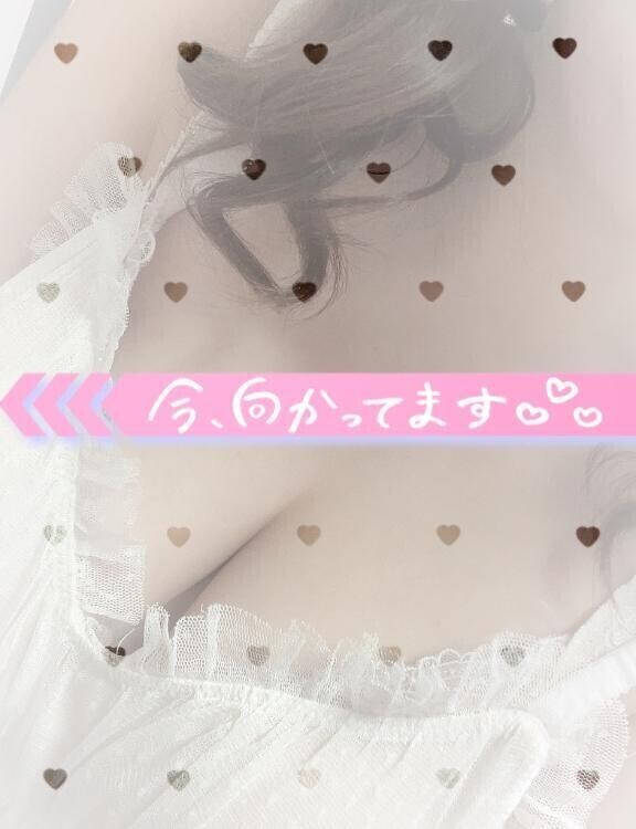🌸🌸🌸