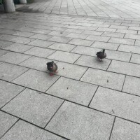 あど
