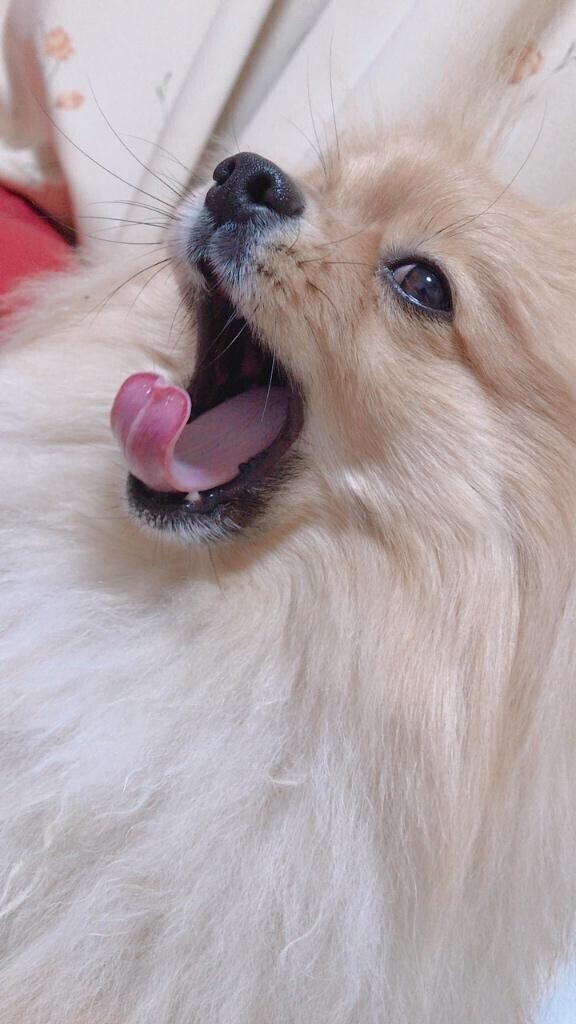 退勤🤍
