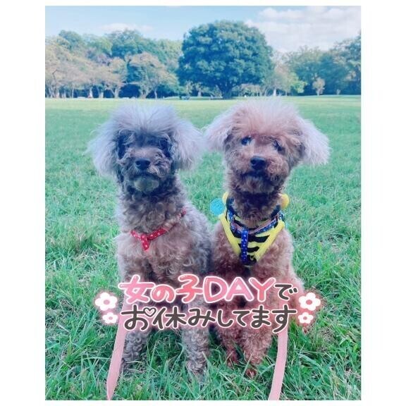 🫩毎月のお休みに入りました🍉