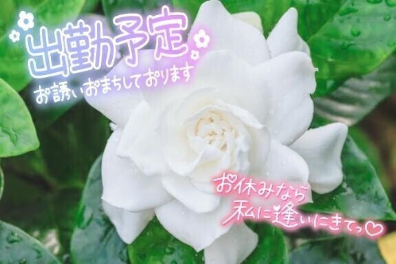 お久しぶりの……🤭
