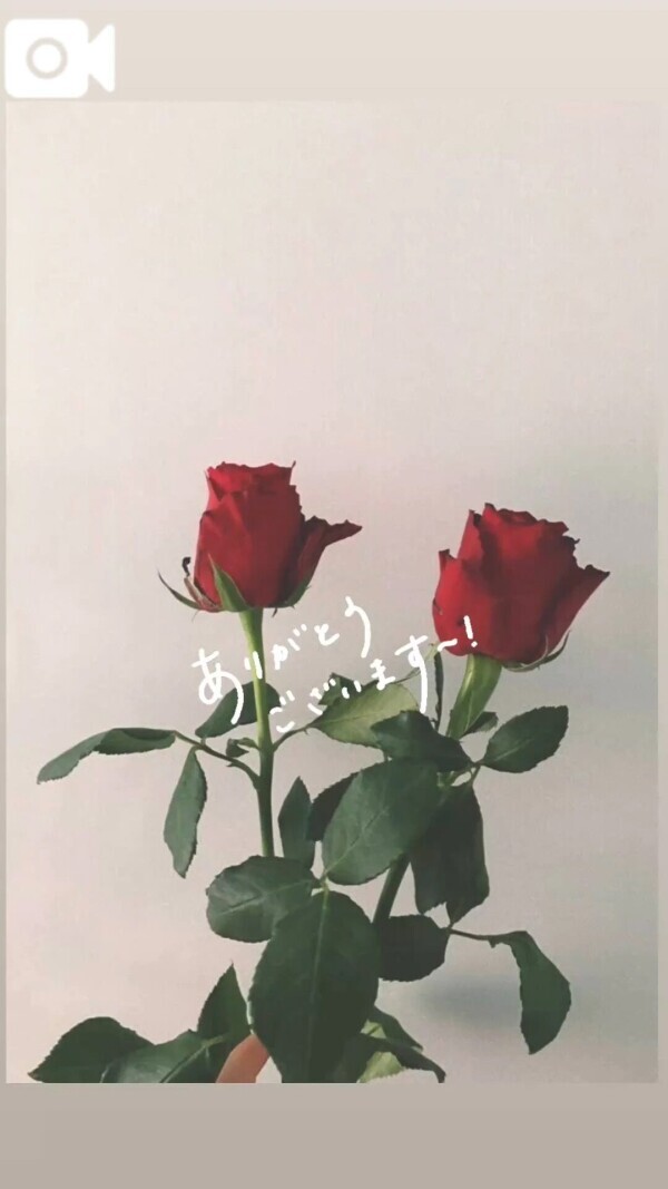 ご予約𓂃 🥀𓈒𓏸