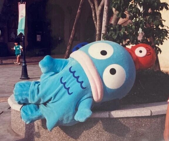 受付終了🙇‍♀️❣️