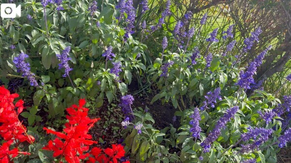 また今度…‎🤍