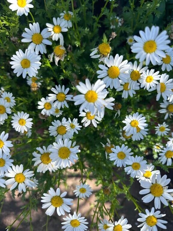 出勤しました🤍