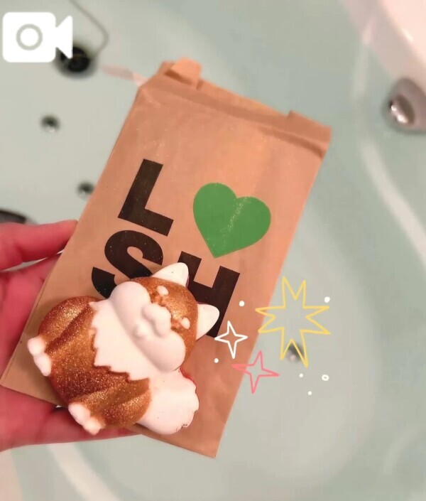 🐕わんわん🛀