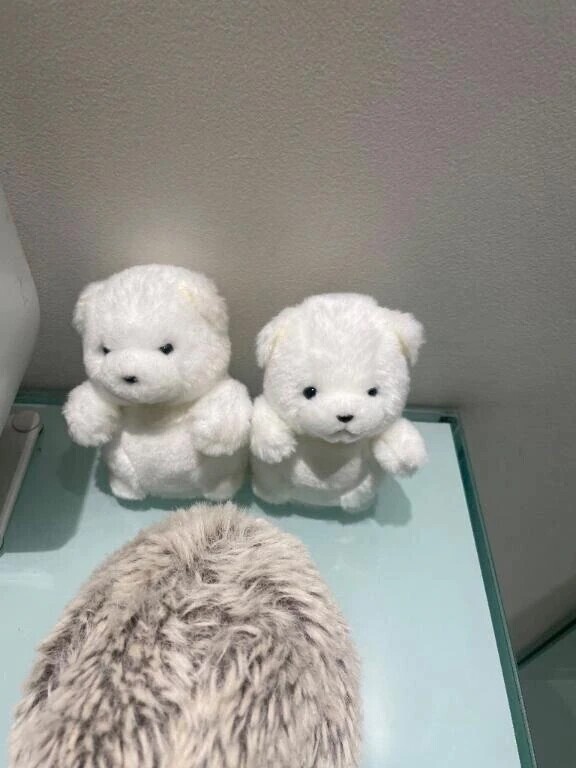 本日10時〜🈳とお知らせ⋆͛📢⋆