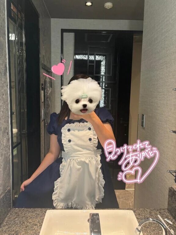 メイド͜☕️ˆ I   ̫  Iˆ) ͜🍰