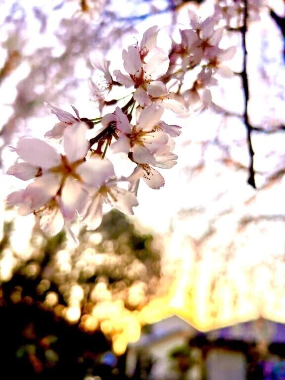 お知らせです😌