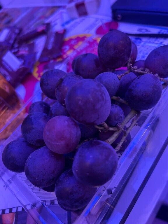 本日受付終了しました☺️