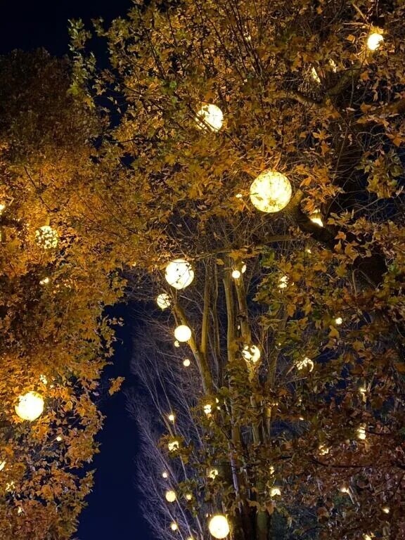 本日の空き☺︎