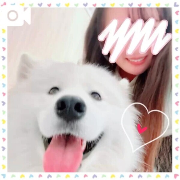 😃サモエドスマイル可愛い🐾