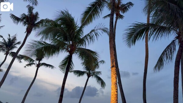 また今度…‎🤍