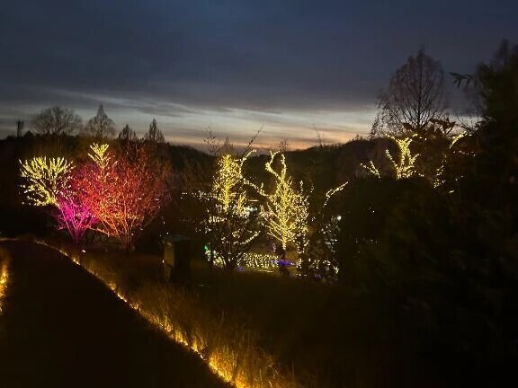 口コミありがとー！