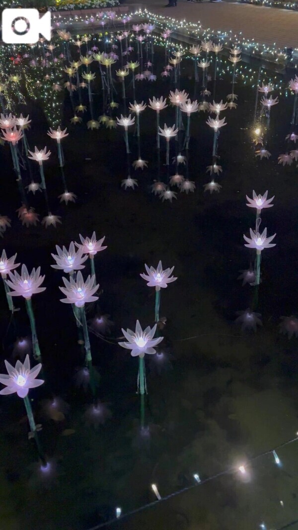 また今度…‎🤍