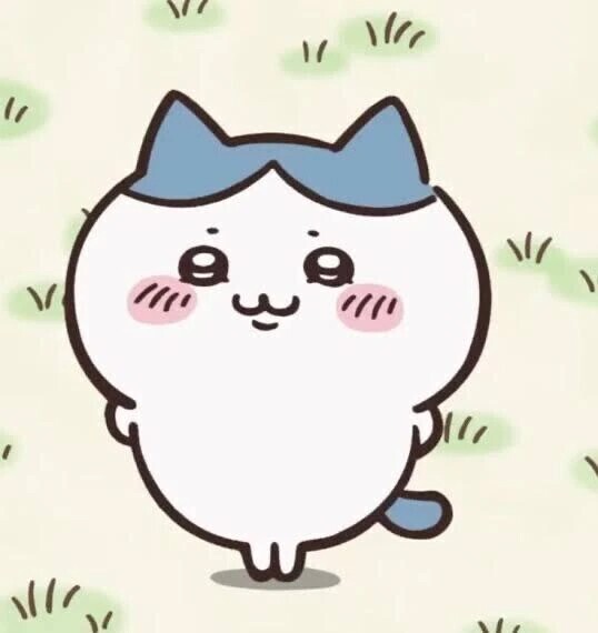 本日18時半〜🈳