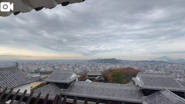 また今度…‎🤍