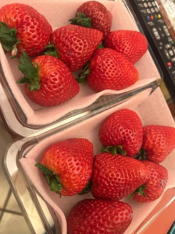 お久しぶりです☺︎