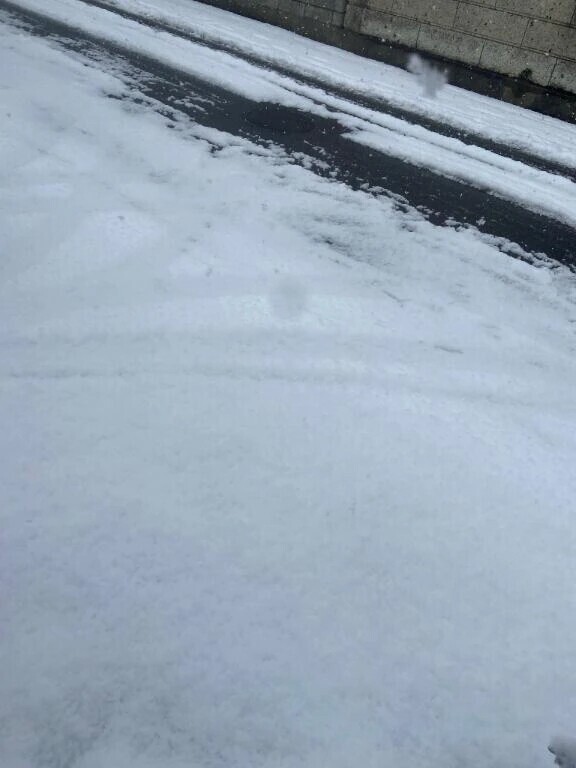 雪だ！すごい⛄️