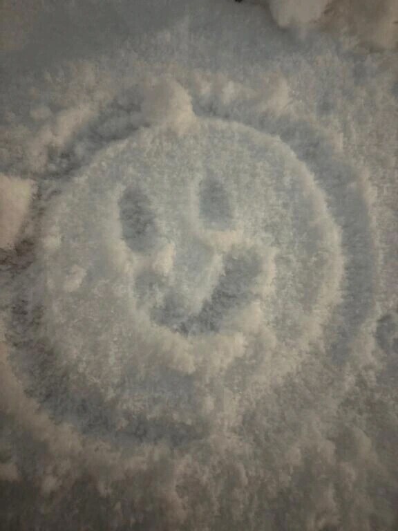 出勤しました！