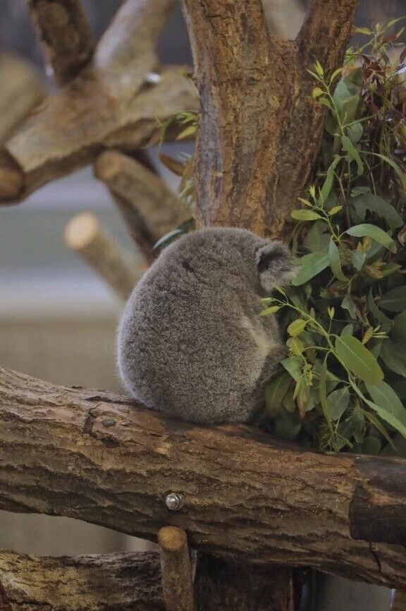 あと1枠のみ👏🏻