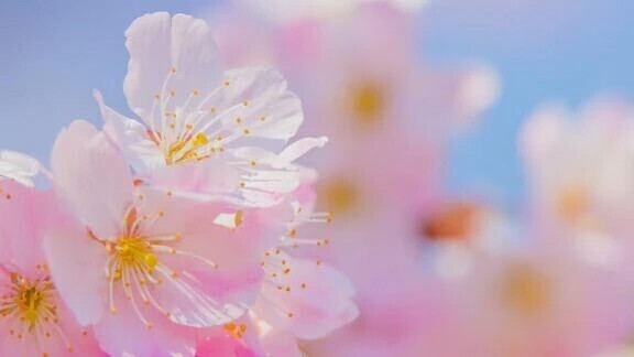 ご予約ありがとうございます！